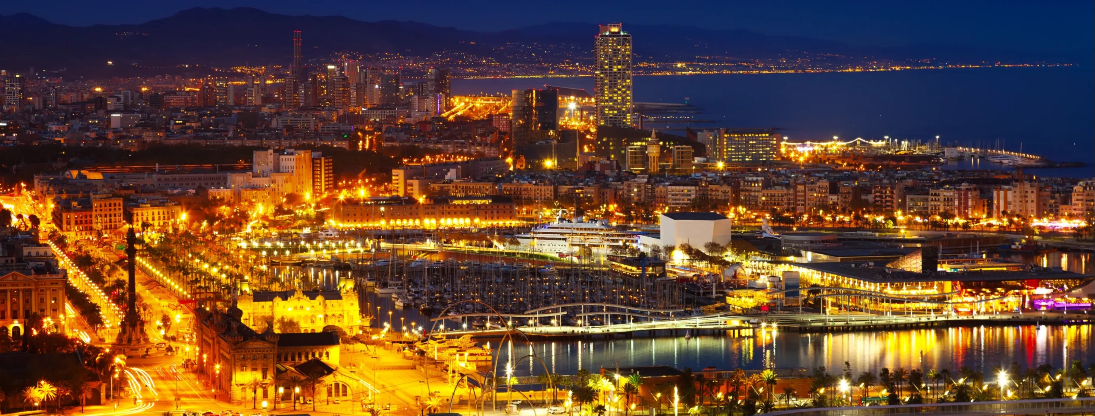 Frame First Web Solutions